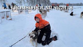 Polar Night in Tromsø | Dog Sledding + Chasing Northern Lights