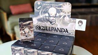  Pop Mart Skullpanda: Image of Reality, blind box CASE!