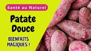 Patate Douce : Quels Sont Ses Bienfaits Magiques pour Votre Santé ?