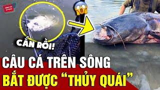 Đi câu cá chép, người đàn ông bắt được 'THỦY QUÁ da trơn khổng lồ 'NẶNG 100KG' | Động Tiin