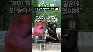 군대 상꺾 특징 #shorts #군대