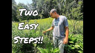 Fix Your Garden Fast:  Solving Garden Problems in Just 15 Minutes a Day!