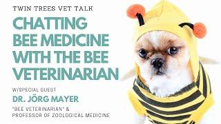 Chatting Bee Medicine With The Bee Veterinarian | Twin Trees Vet Talk