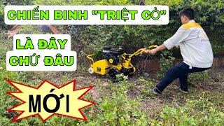 Chiến binh triệt cỏ phải là máy băm cỏ AHM 6TN |Máy nông nghiệp đa năng AHM