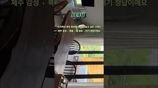 스테이 이름부터 감성이다: 스테이환영#스테이환영 #제주감성스테이 #제주숙소추천  #감성숙소 #에어비앤비제주