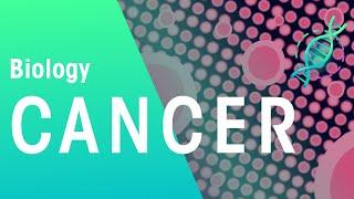 What Is Cancer? | Genetics | Biology | FuseSchool