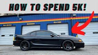 How to properly spend 5,000 dollars on a Sn95! (More Mods Inbound)