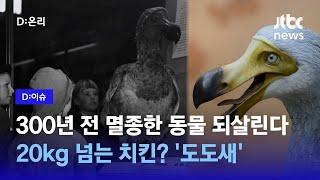 1681년 멸종한 새 '도도', 유전자 편집 기술로 복원한다…성공하면 멸종동물 되살린 첫 사례｜D:이슈