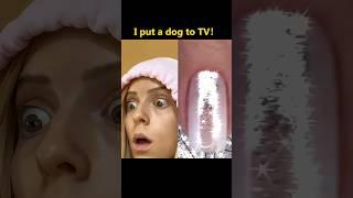 I put a dog to TV! #funny #funnyvideo #foryou #mystorytime #vlog #storytimevlog #storytime #fyp