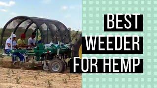 The Best Weeder for Hemp Production - Univerco EcoWeeder from NESSA Inc