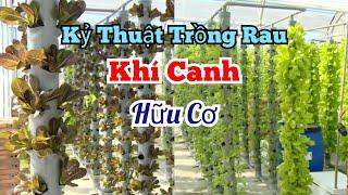 KỶ THUẬT TRỒNG RAU KHÍ CANH HỮ CƠ