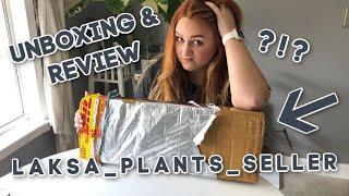 Rare Plant Unboxing & Review | Laksa Plants Seller | Indonesia