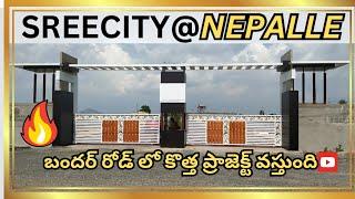 PLOTS FOR SALE IN NEPALLI | Sreecity | bandhar road plots | 9888725556