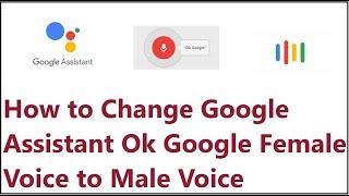 How to Change Google Assistant Ok Google Female Voice to Male Voice