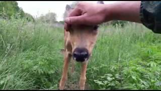Ручная касуля