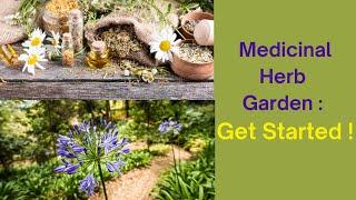  Medicinal Herb Garden for Beginners : Easy Steps to Get Started