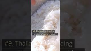 Quick Facts About Thailand!!