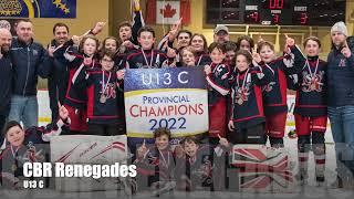 2021/22 Hockey NL Honour Roll of Champions