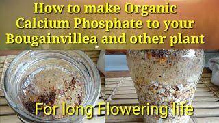 HOW TO MAKE ORGANIC CALCIUM PHOSPATE