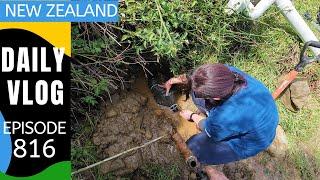 Fixing the spring for a water supply  [Life in New Zealand #816]