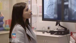 Bachelor of Health and Medical Sciences career snapshot