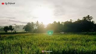 Timelapse Terbit matahari dari desa | Alam Pedesaan Yang Masih Asri Dan Sejuk