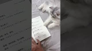 养个猫还是有点用滴#我的猫咪 #猫咪vlog #萌猫