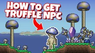 How to get Truffle NPC in Terraria