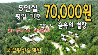 세상에. 이런곳이? 5인실 기준 1박 7만원 이면 최고의 숲에서 힐링할 수 있습니다  국립횡성숲체원 힐링숲속 무장애데크길