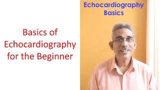 Basics of Echocardiography for the Beginner