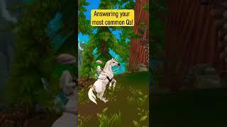 Answering your most common questions 