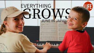 Everything Grows  June in Japan | Life in Japan EP 267