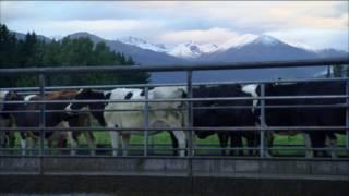 DairyNZ Effluent Pond Campaign