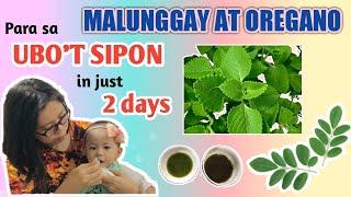 PAANO NAWALA ANG UBOT SIPON NI BABY IN JUST 2 DAYS?MALUNGGAY AT OREGANO (FAST & EFFECTIVE REMEDIES)