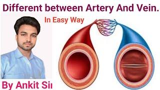 Different between Artery and Vein || Blood Vessels || Functions of blood vessels || #medical#nursing