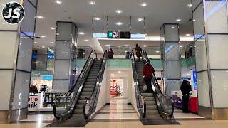 Midtown's Yonge Eglinton Centre | Toronto Walk (Jan 2025)