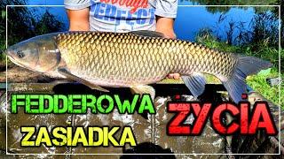 Feederowa Zasiadka Życia! Amur, Wielkie Karpie i Leszcze  Method Feeder PZW