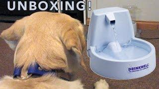 DrinkWell Pet Fountain UNBOXING & DOG'S REACTION!