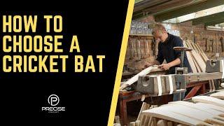 HOW TO CHOOSE A CRICKET BAT | Precise Cricket Podcast Clips