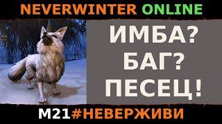 ЗИМНЯЯ ЛИСА - ИМБА? (криптики смогли) | Neverwinter м21 увлекательный геймплей #неверживи