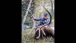 Huge Bull Elk With A Bow!