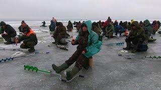 ПОЛОСАТЫЕ ЗАГИБАЮТ УДОЧКИ!!! Зимняя рыбалка 2018 - 2019. Раздача КРУПНОГО Окуня в "БАЗАРЕ" .