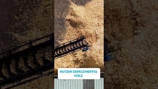 Heizen mit Hackschnitzel! #heizung #handwerk #heizungsgesetz #shortsfeed #forstwirtschaft #geg