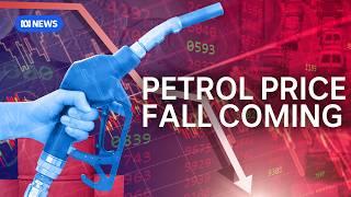 Why the price of unleaded petrol will keep falling in the coming weeks  | The Business | ABC News