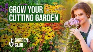 ️  CUT FLOWER GARDEN:  Expert Tips and Tricks to Begin With