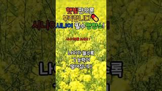  비타민 D, 햇볕만 쬐면 충분할까요?  시니어라면 꼭 확인하세요! #비타민D결핍 #햇볕과비타민D #시니어영양관리 #9988건강상식 #노년기영양소
