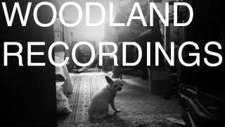 Woodland Recordings - Summer 2013