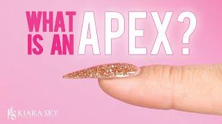 What is a Nail Apex?‍️ Strong Nail Enhancements - Anatomy of a Nail