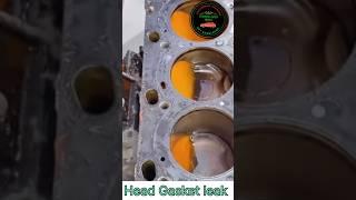 head Gasket leak engine#automobile #youtubeshorts #shortsviral #automotive @technoautoindia