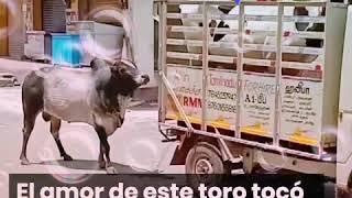 Historia de amor